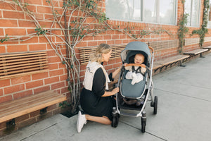 UPPAbaby | Vista V3 Stroller