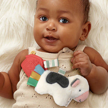 Itzy Ritzy | Itzy Pal Infant Toy