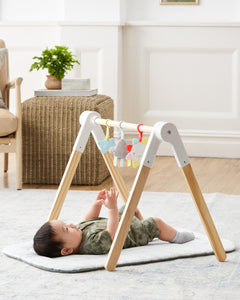 Skip Hop | Silver Living Cloud Wooden Activity Gym