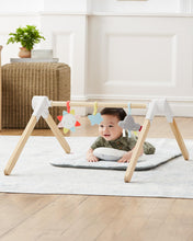 Load image into Gallery viewer, Skip Hop Silver Living Cloud Wooden Activity Gym