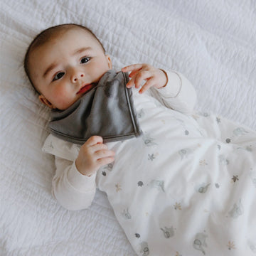 Perlimpinpin | Bamboo Bibs