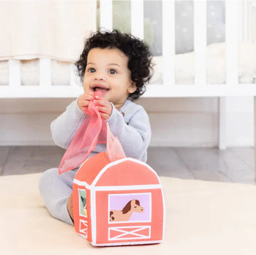 Pearhead | 6-12 Month Learning Kit