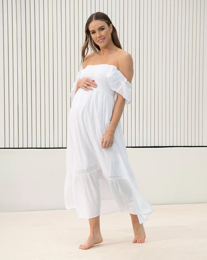Ripe Maternity | Hail Spot Dress