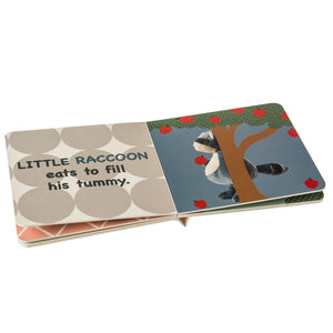 Mary Meyer | "Little Raccoon's Sneaky Night" Board Book