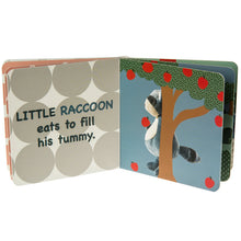 Load image into Gallery viewer, Mary Meyer | &quot;Little Raccoon&#39;s Sneaky Night&quot; Board Book