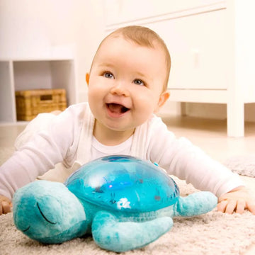 Cloud B | Tranquil Turtle