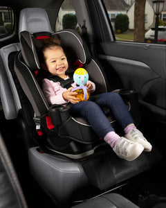 Skip Hop Clean Sweep Car Seat Protector
