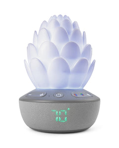 Skip Hop Terra Cry-Activated Succulent Soother