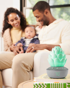 Skip Hop Terra Cry-Activated Succulent Soother
