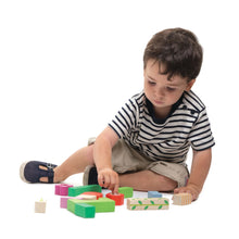 Load image into Gallery viewer, Tender Leaf Toys | Nursery Blocks