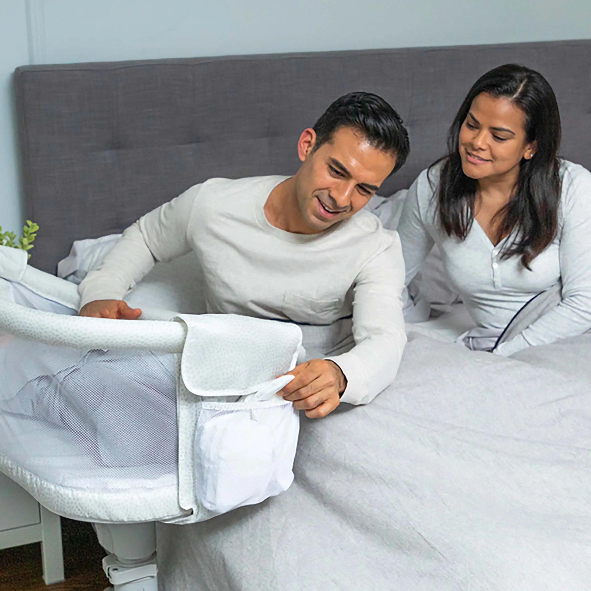 Halo premiere bassinet hot sale