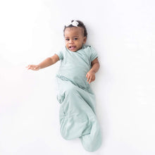 Load image into Gallery viewer, Kyte Baby Core Collection | 2.5 TOG Sleep Bag