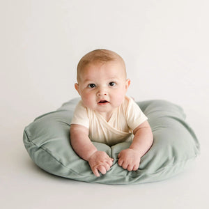 Snuggle Me Organic Cotton Lounger Cover